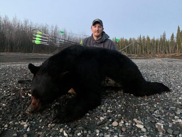 This Could Be the Heaviest Black Bear Ever Tagged in North Carolina
