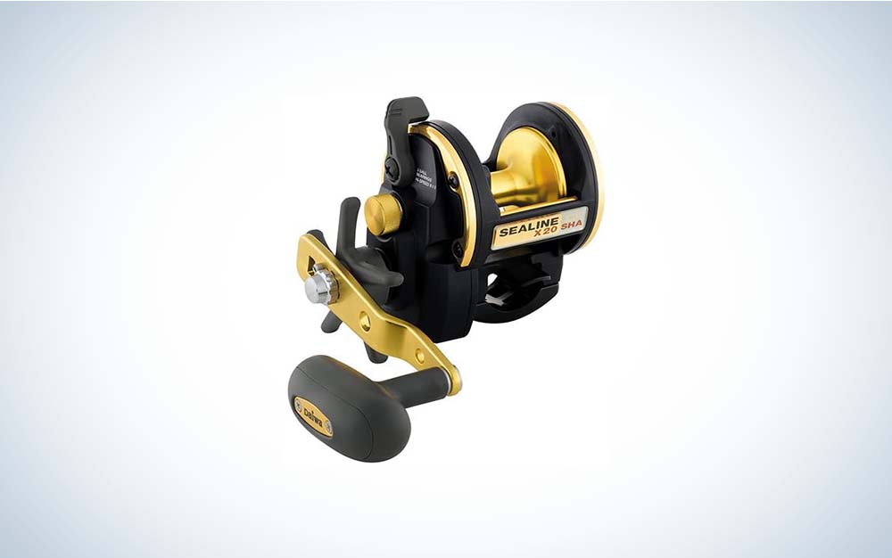 Top 5 Long-Distance Surfcasting Reels - Wide Open Spaces