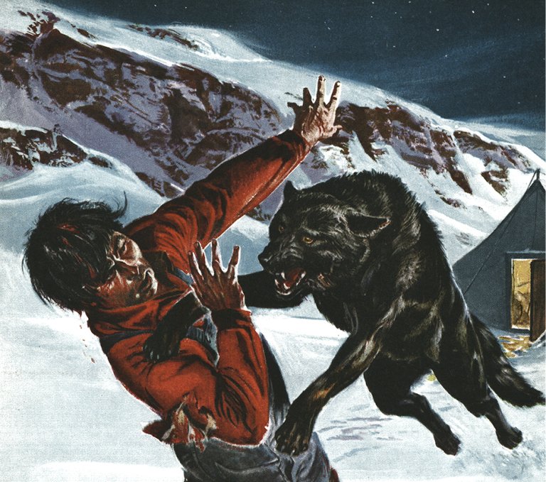 An illustration of a wolf attacking a man in the snow