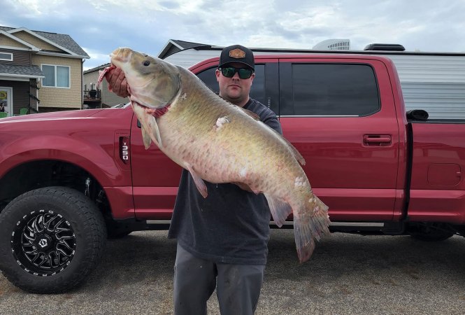 North Dakota Bow Fisherman Shoots Record Bigmouth Buffalo