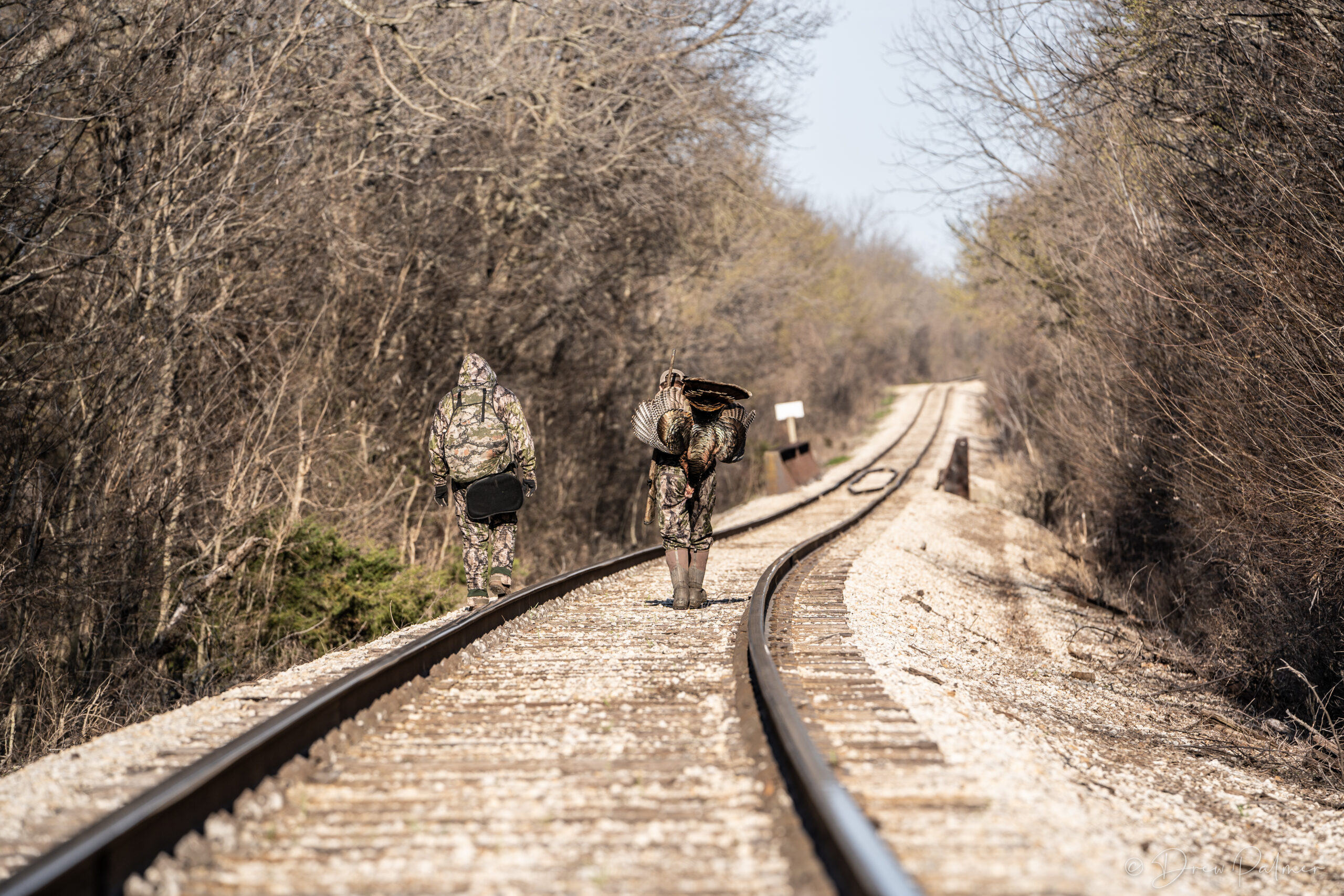 As turkey numbers dwindle, success rates fall.