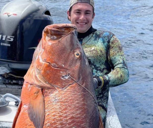Spearfisherman Shoots Giant Cubera Snapper That Could Break World Record