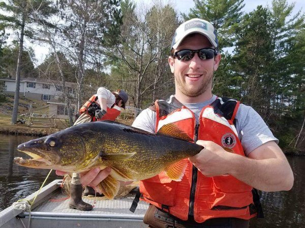 Wisconsin Waters Are Warming. Its Walleye Fishing and Stocking Programs Are in Trouble