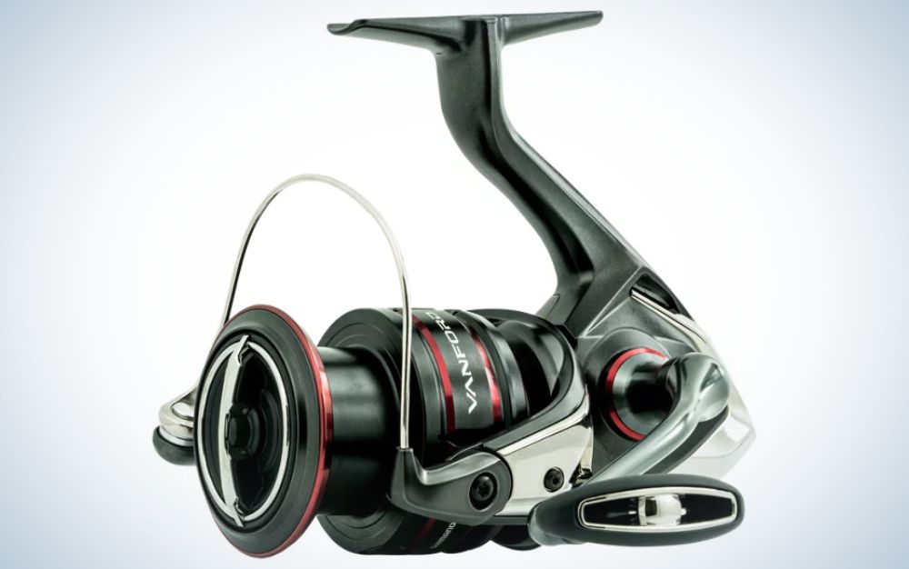 Best Trout Spinning Reels of 2024
