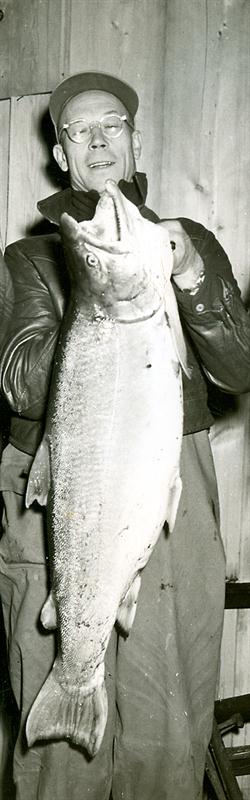The world record bull trout.