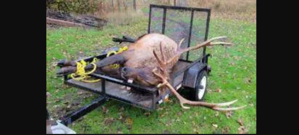 Social Media Photo Leads to Charges for Men Who Poached Trophy Elk