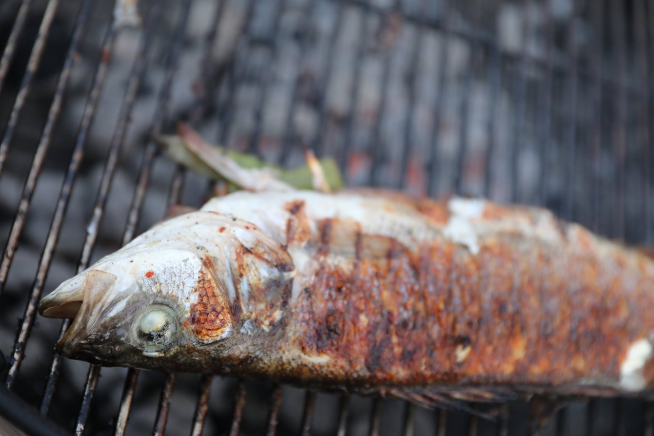 Hot smoked fish