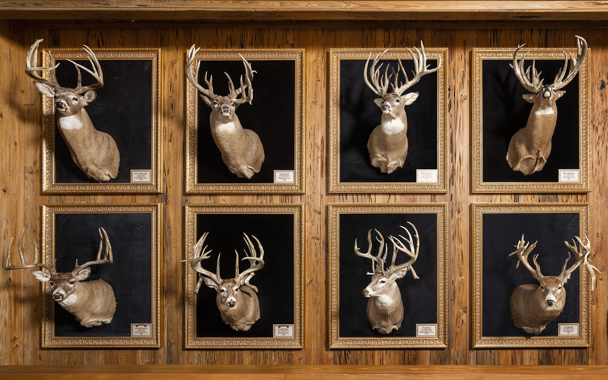 https://www.outdoorlife.com/wp-content/uploads/2022/06/24/boone_crockett_deer_mounts-e1657125470713.jpg