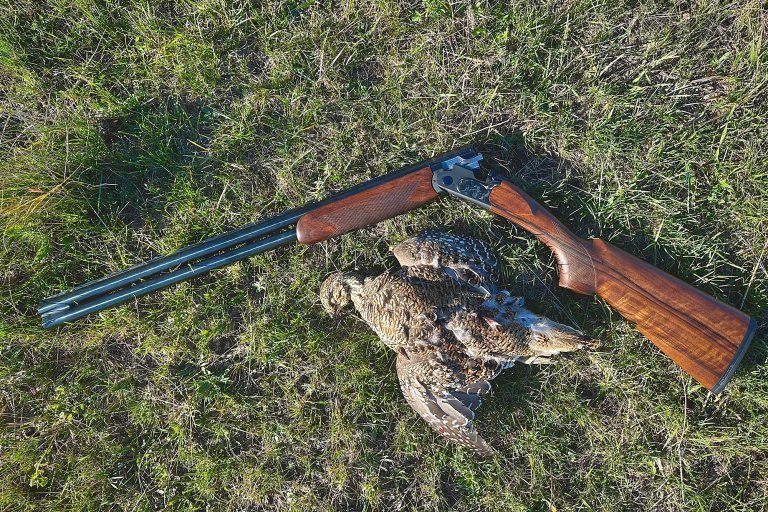 beretta ultraleggero
