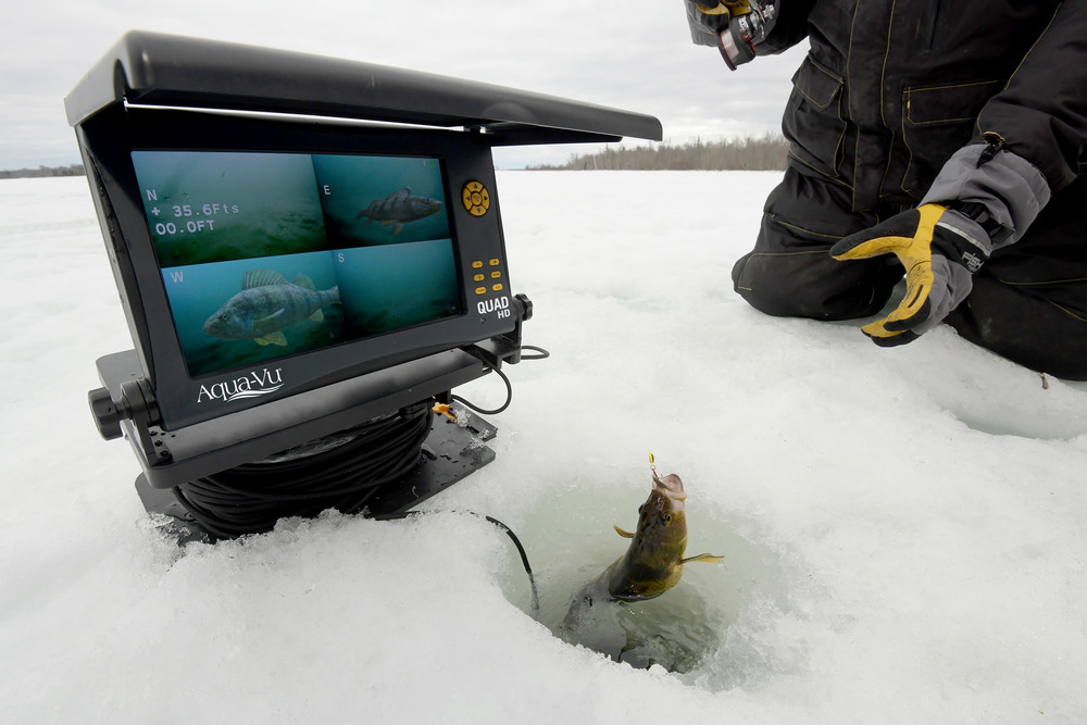 Underwater Camera Recommendations or Criticisms? - Ice Fishing Forum - Ice  Fishing Forum