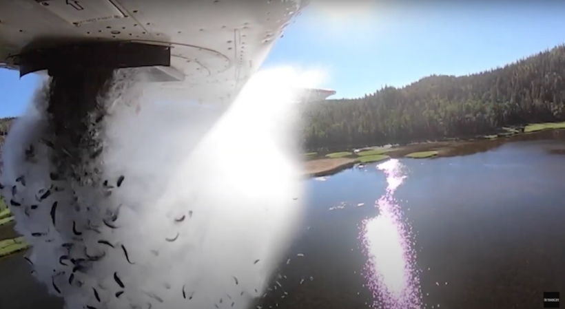 Watch: Airplanes Drop Thousands of Trout into Utah’s High Mountain Lakes Every Summer