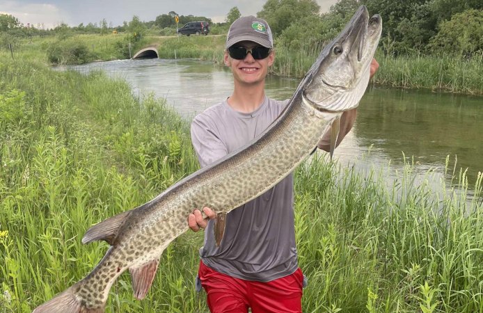 Kid Catches 50-Inch Muskie While Bass Fishing in a Channel