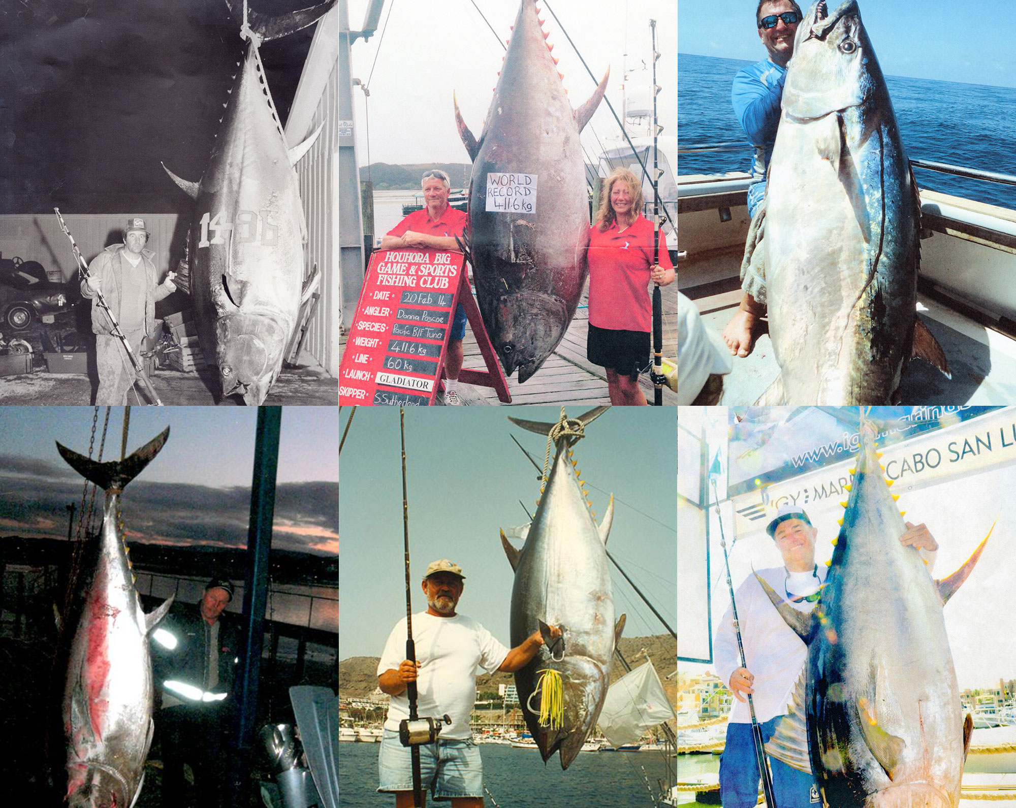 Tuna Fishing, How to Catch Yellowfin, Bluefin & Blackfin Tuna