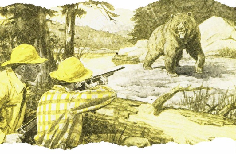 hunter aims at bear