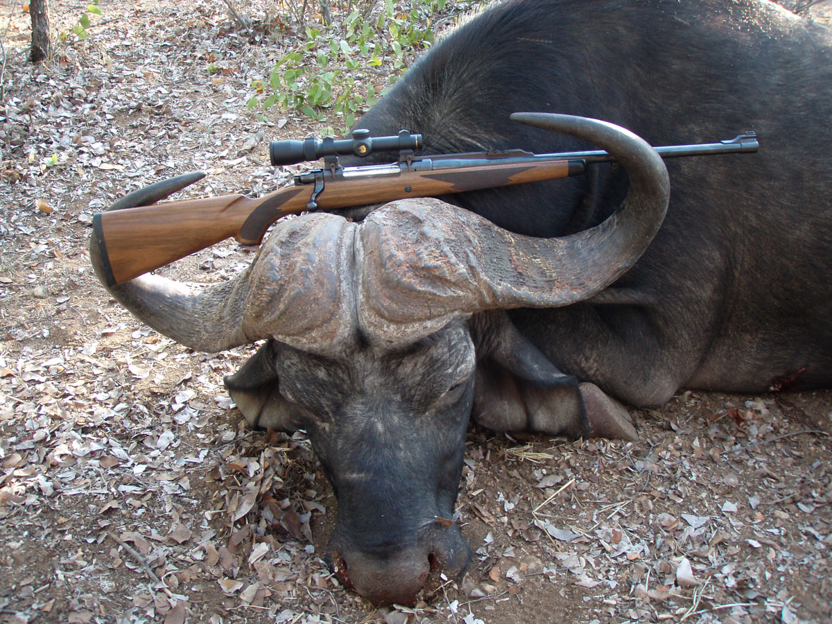 The 10 Best Dangerous Game Cartridges Outdoor Life