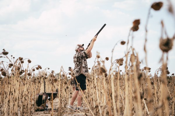 How to Take High Percentage Shots on the Dove Opener and Hit More Birds