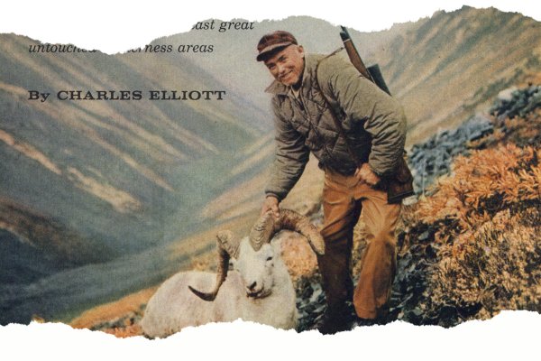 A Classic Dall Sheep Hunt in the Yukon, From the Archives
