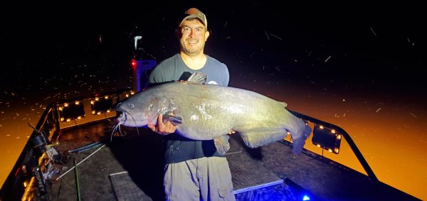 Virginia Bowfisherman Shoots Record Blue Catfish
