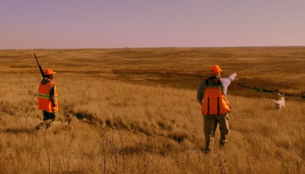 The Grasslands Conservation Act Just Hit the Senate. Here’s What it Means for Hunters and Wildlife