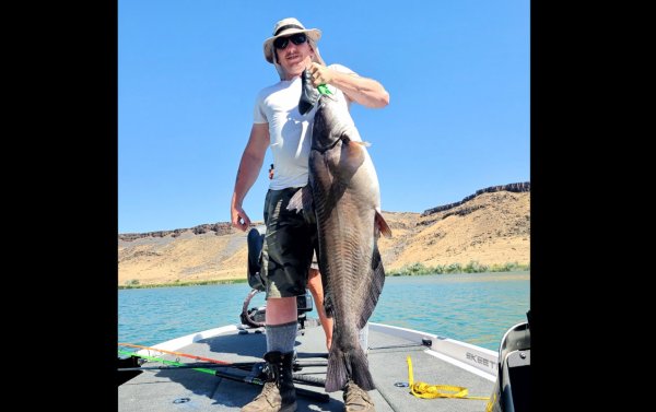 Idaho Angler Catches Record Channel Catfish