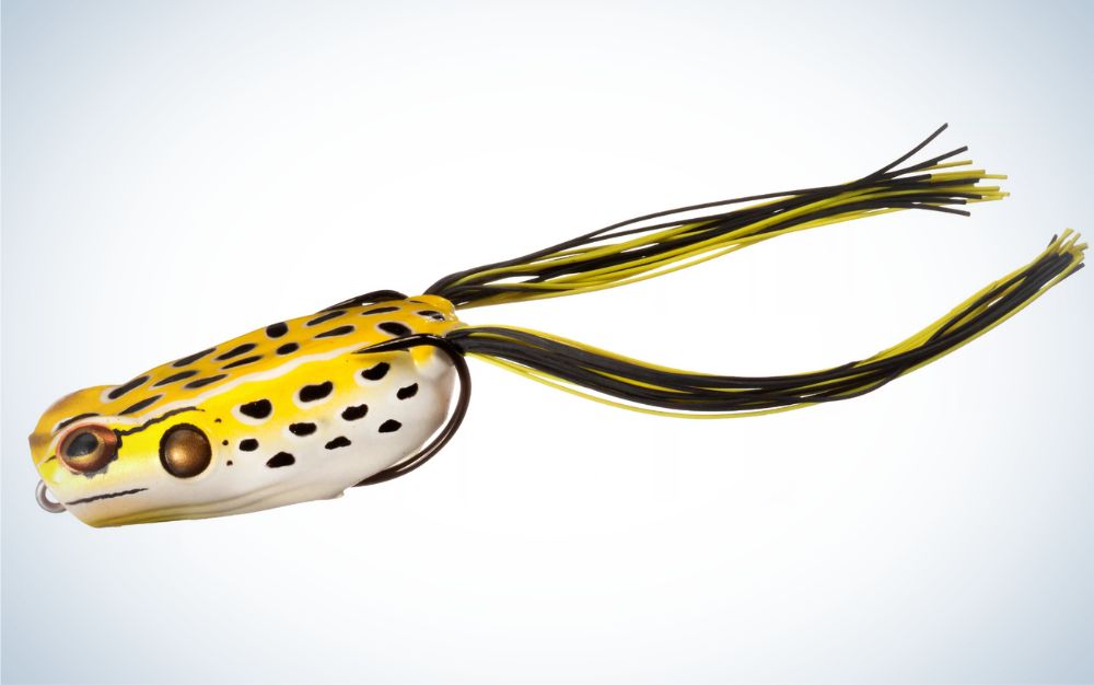 Best Frog Lures for 2023
