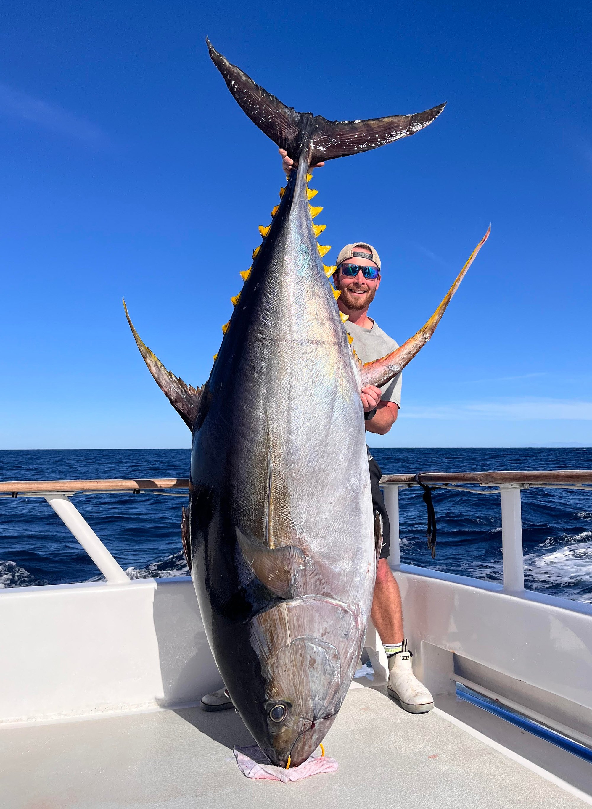 The world-record yellowfin tuna.