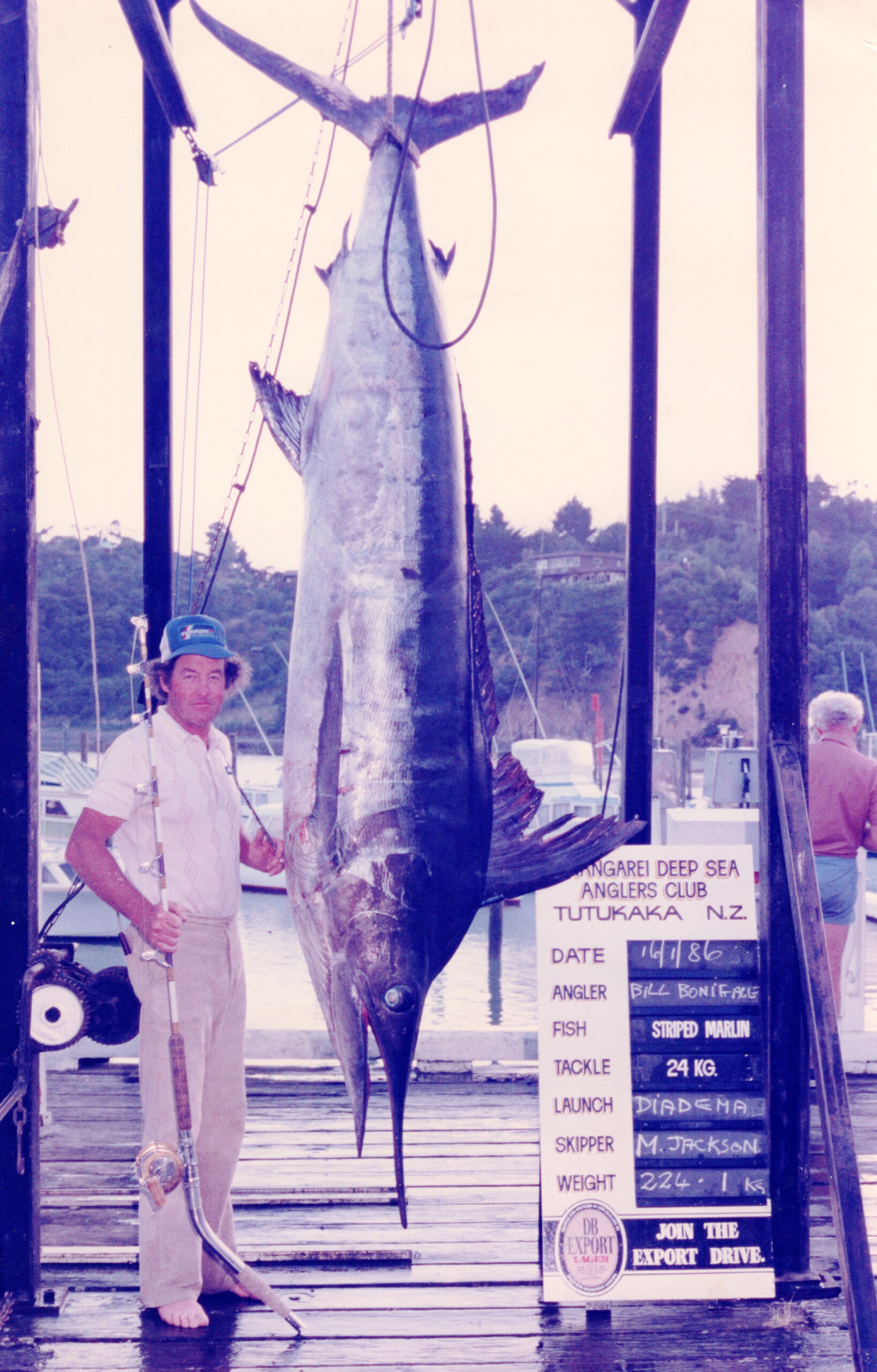 World Record Marlin