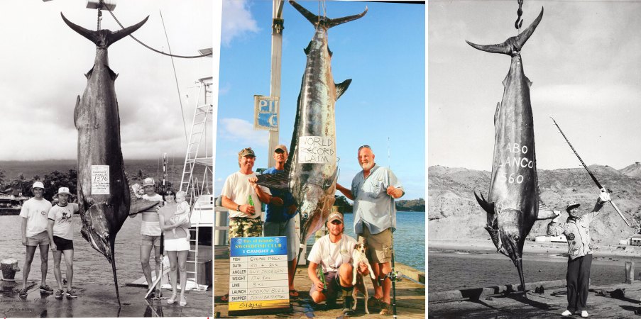 World Record Marlin | Outdoor Life