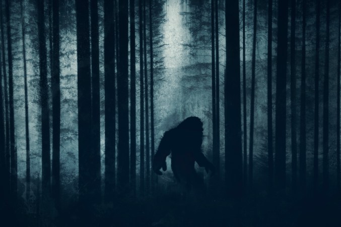 Ohio Woman Claims to Have Recorded Bigfoot Howls ... Or Was it Coyotes?