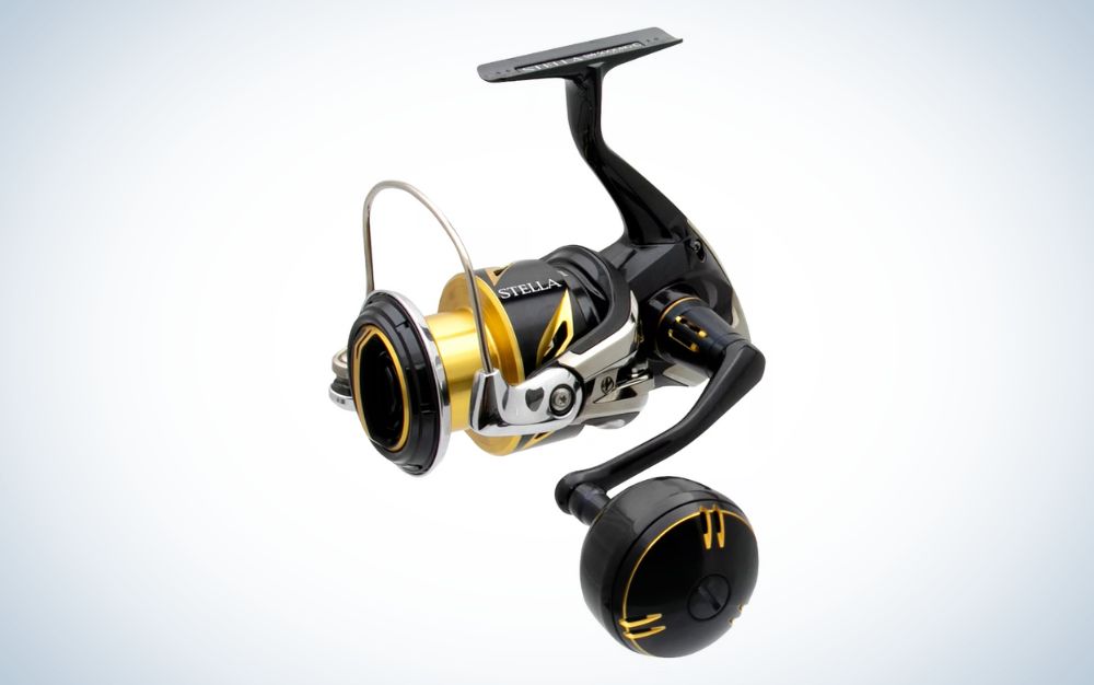  Shimano Saragosa 5000F Saltwater Offshore Spinning Reel :  Baitcasting Fishing Reels : Sports & Outdoors