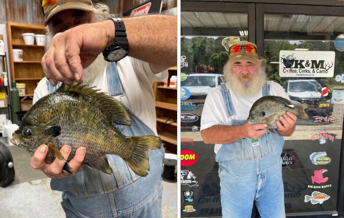 Retired Welder Catches New Louisiana State-Record Bluegill From His Neighbor's Pond