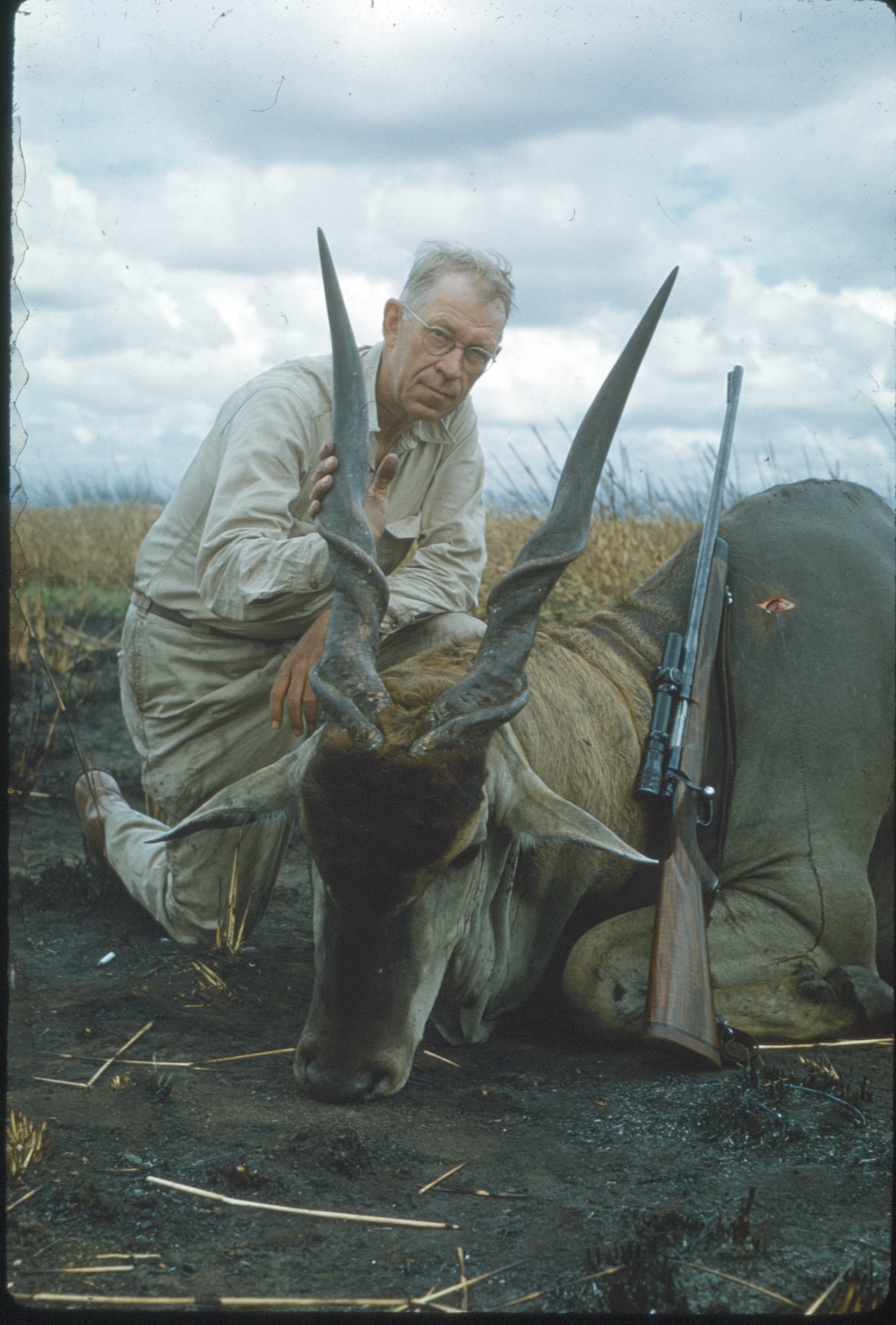Jack O'Connor with an eland buck.