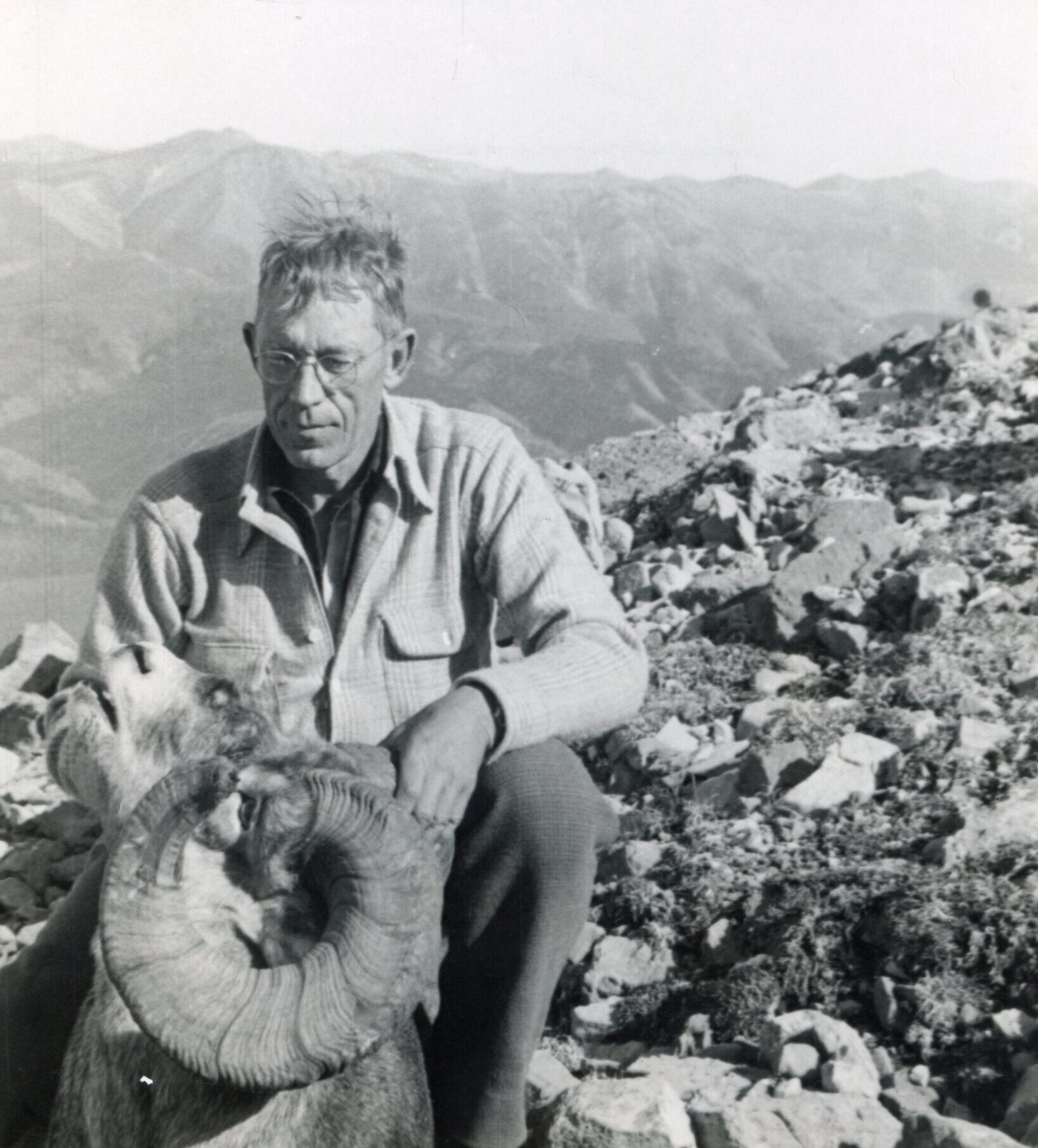 Jack O'Connor with a stone sheep.