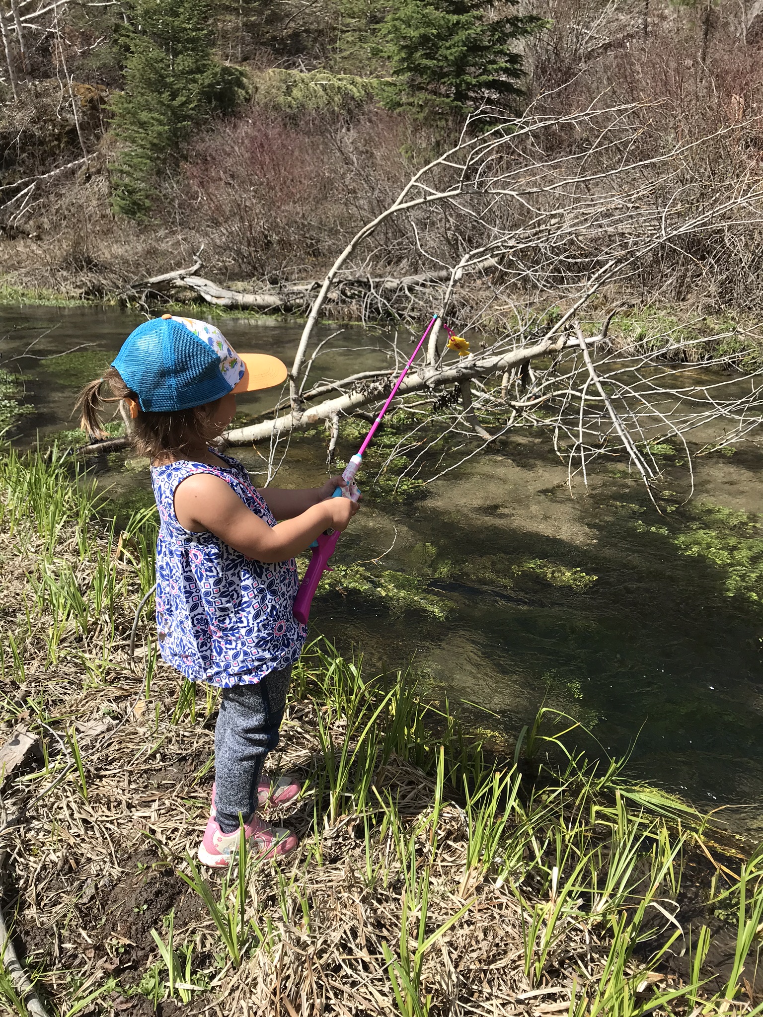 How to Choose Kids Fishing Poles