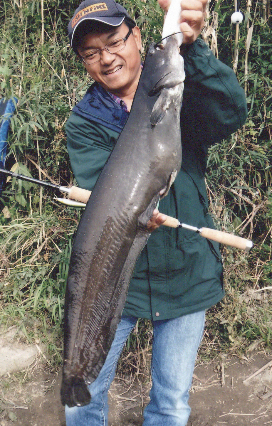 amur catfish all-tackle world record