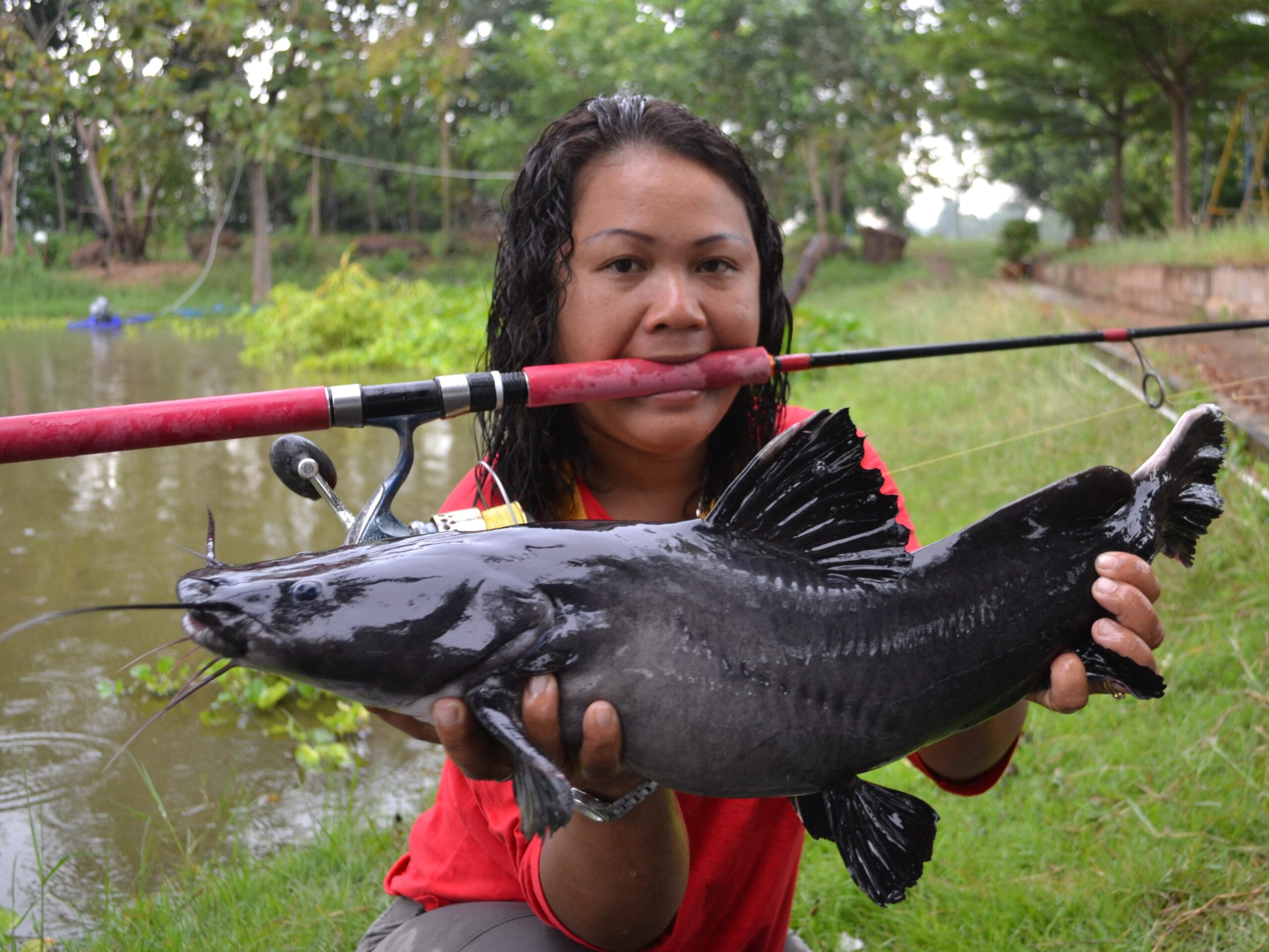black catfish all-tackle world record