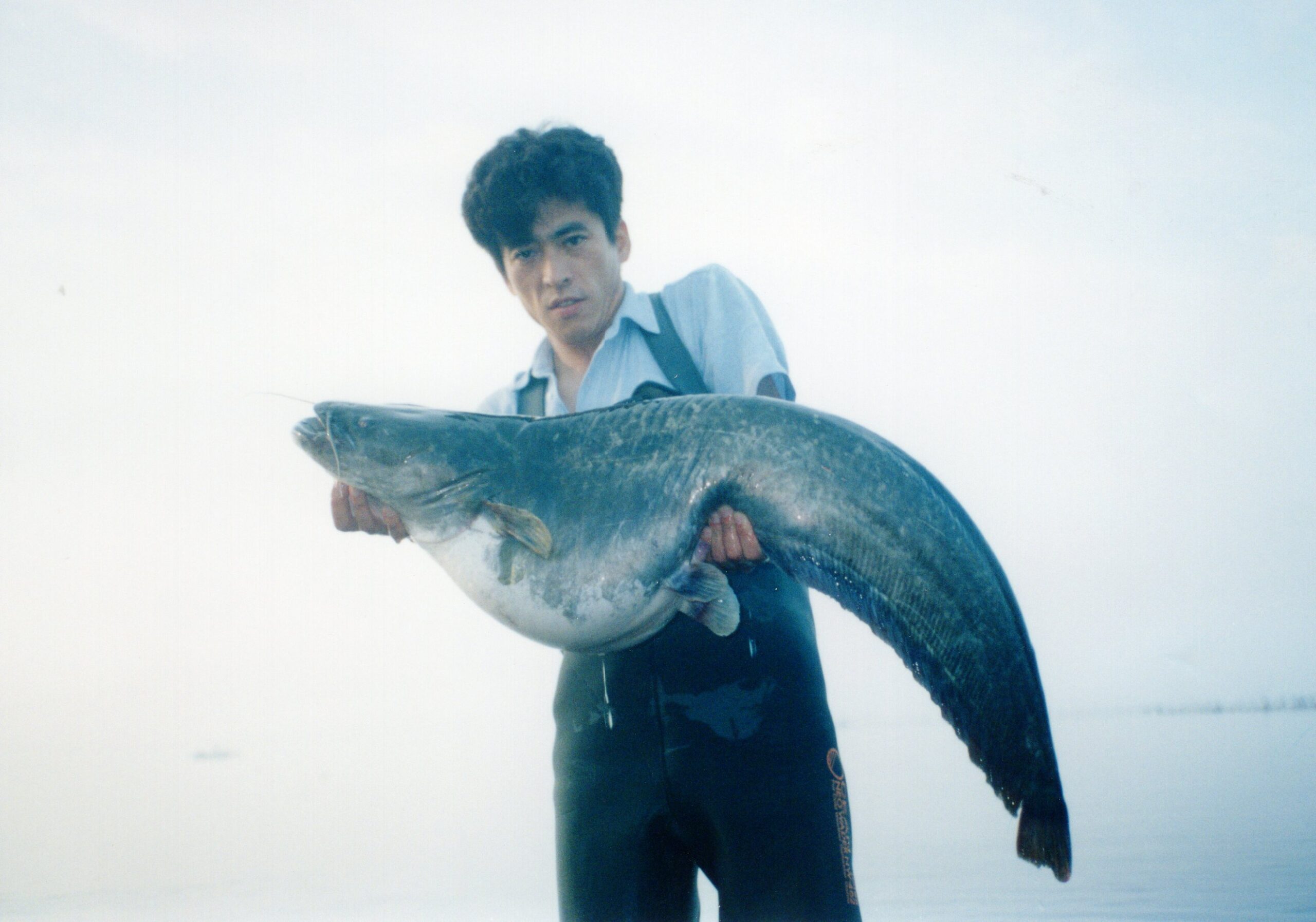 eurasian catfish all-tackle world record