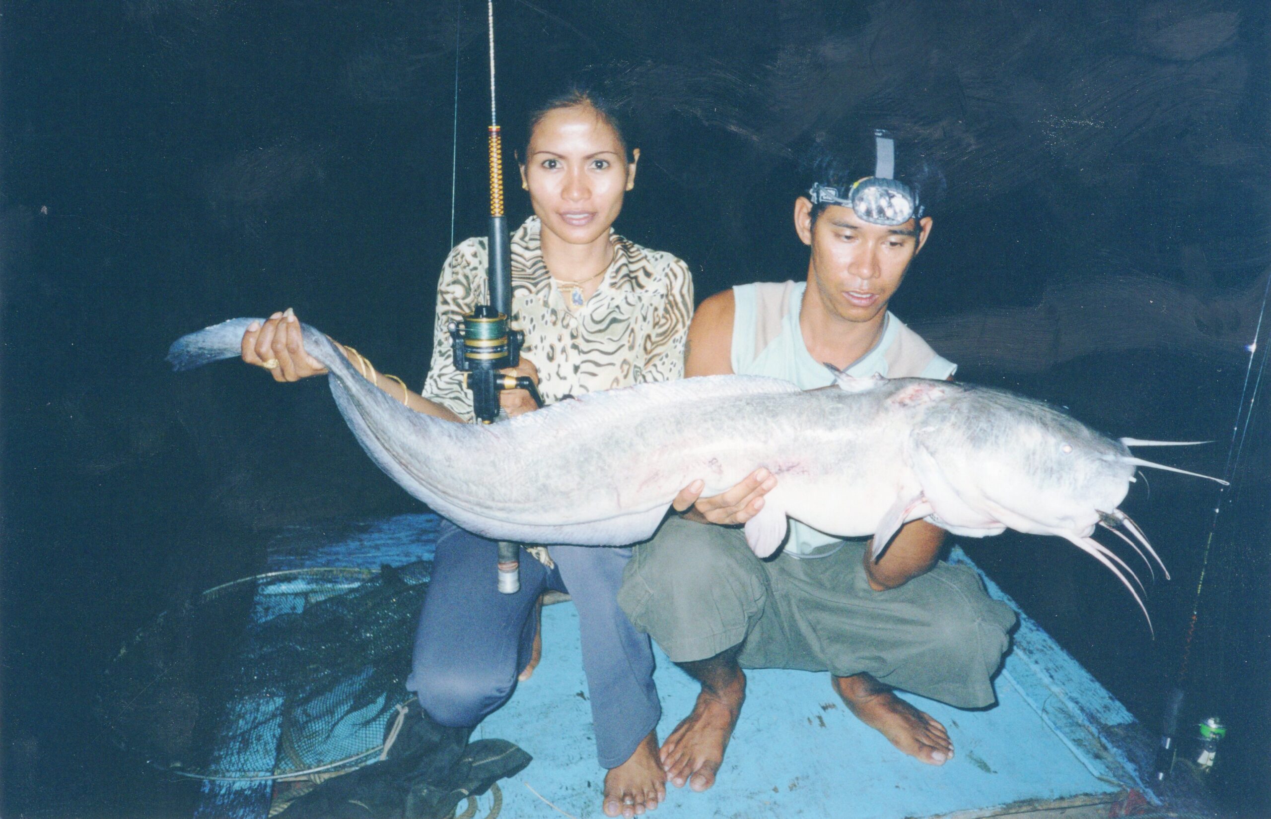 grey eel catfish all-tackle world record