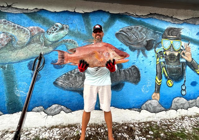 Florida Scuba Diver Spears New State-Record Hogfish