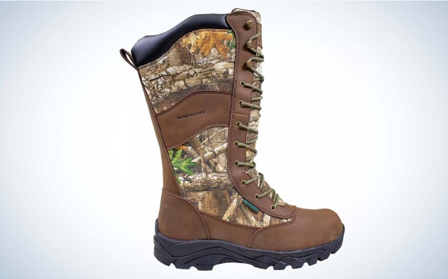 The frogg toggs Winchester Vennoms are the best budget snake boots.