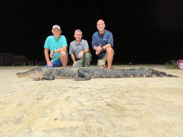 Mississippi Hunters Tag State Record Alligator
