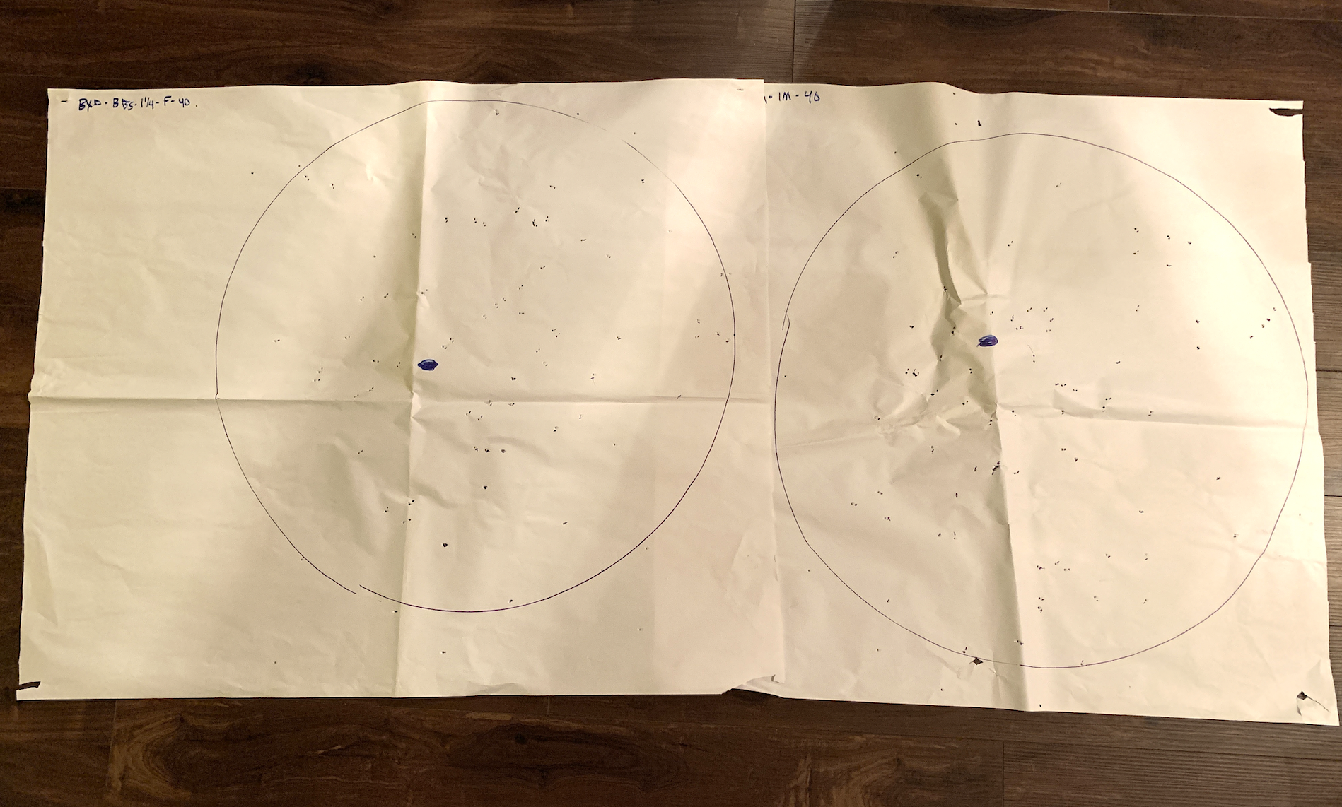Pattern results from the Browning BXD.