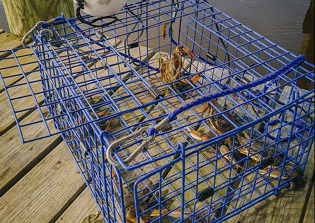 Armadilha Para Caranguejo Hurricane CTBC-1 - Qualidade South Bend