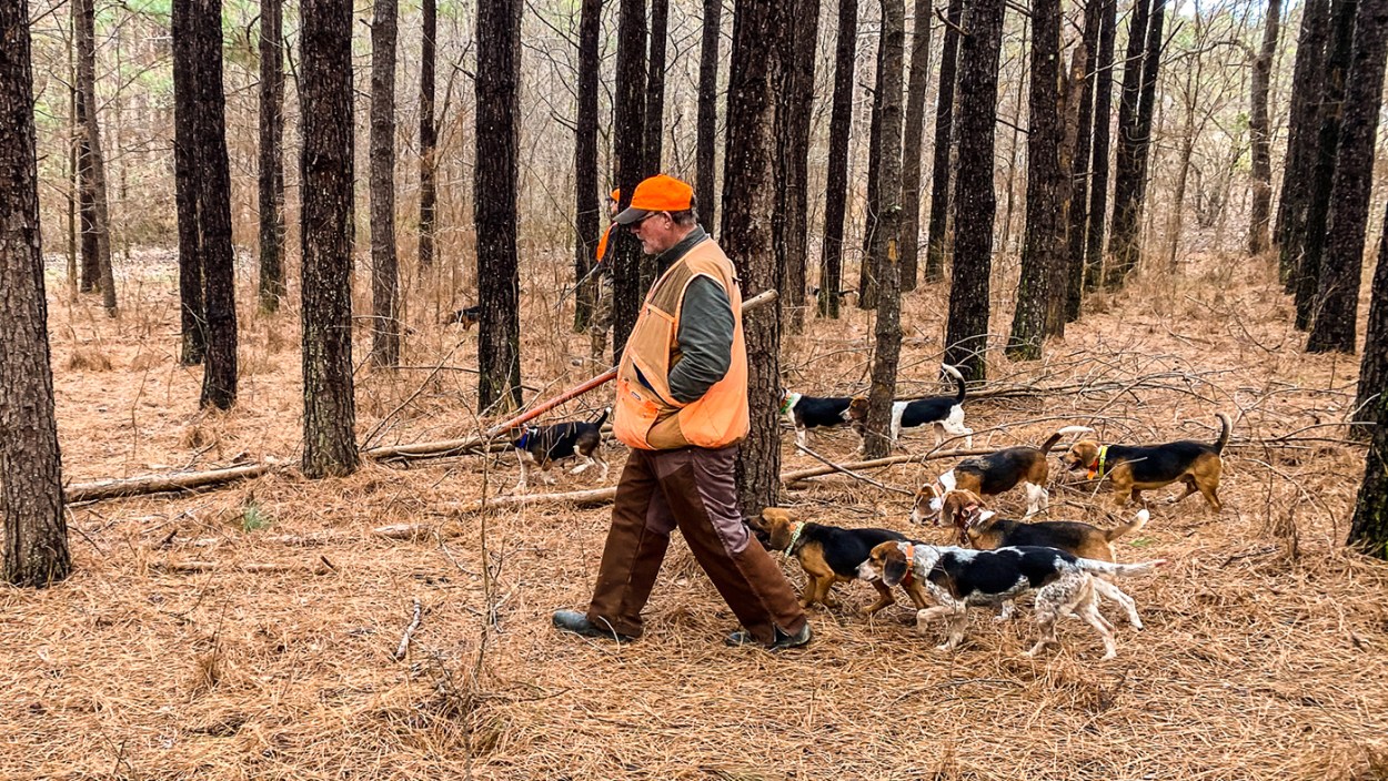How to Hunt Rabbits | Outdoor Life