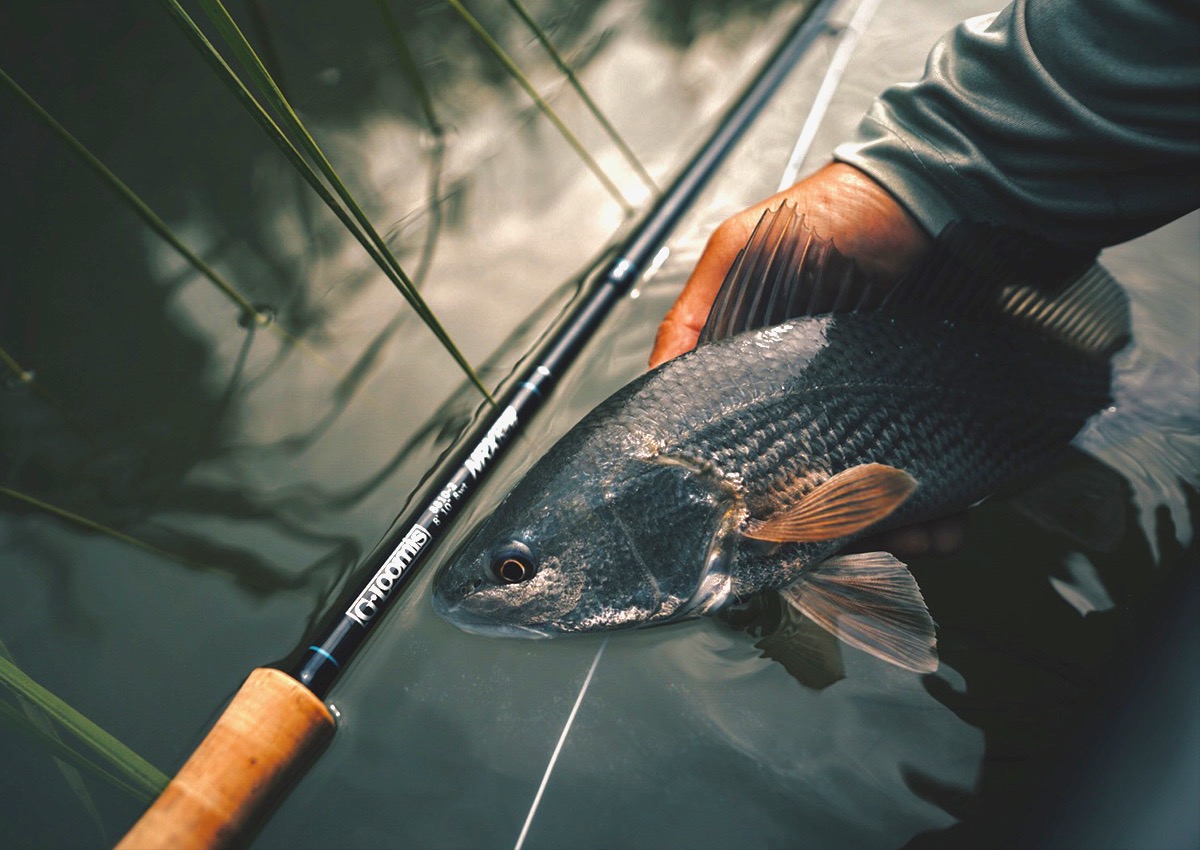 The best saltwater fly rods were tested over two days to find the best of the best.