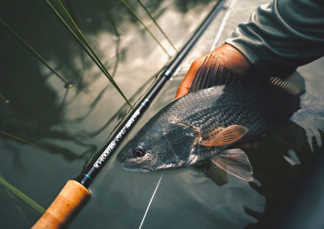 The Best Saltwater Fly Rods of 2023, Tested and Reviewed