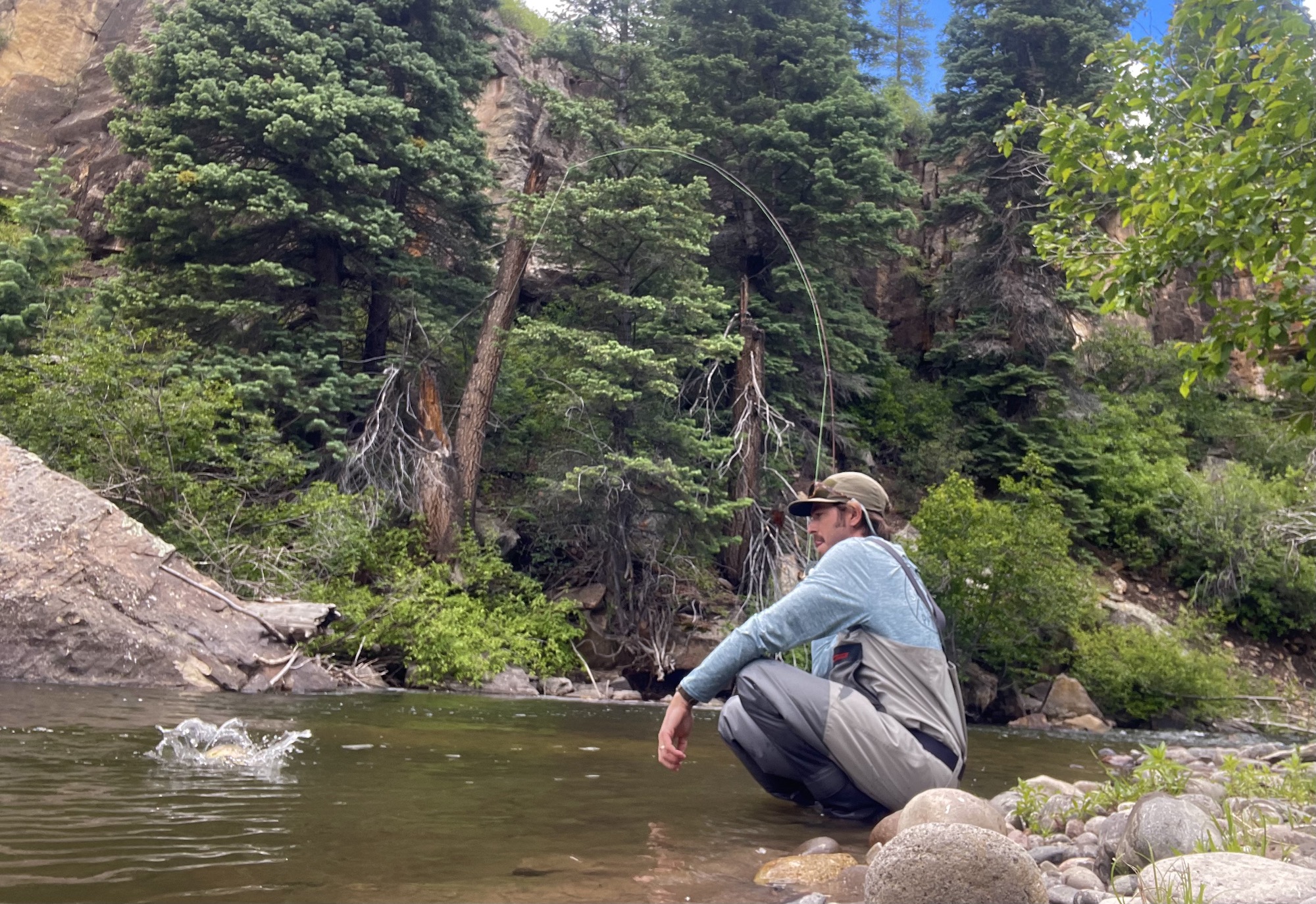 collins lands brown trout on the rio chama