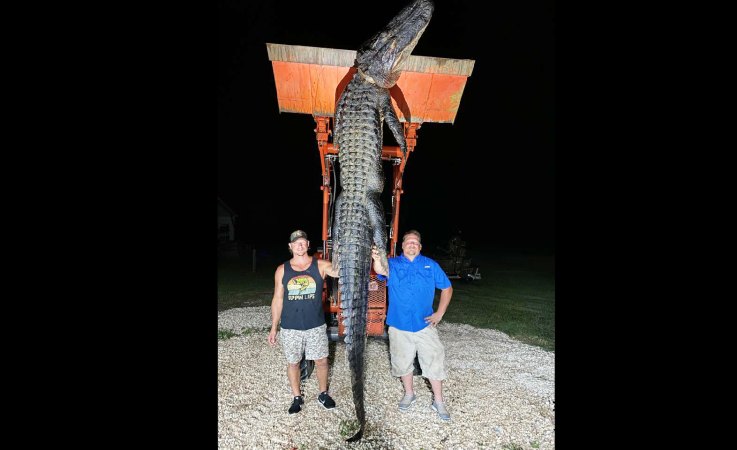 Georgia Brothers Tag Monster Alligator After Sending Up a Prayer
