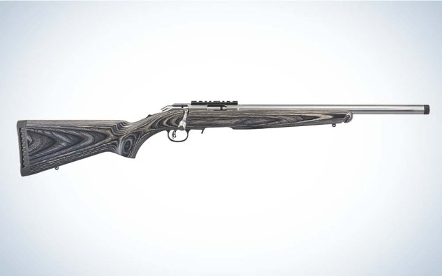 Squirrel Hunting Rifle The Best Squirrel Hunting Rifles | Outdoor Life