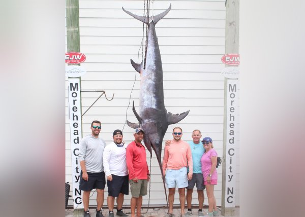Father-Son Duo Beat North Carolina State-Record Swordfish by 63 Pounds